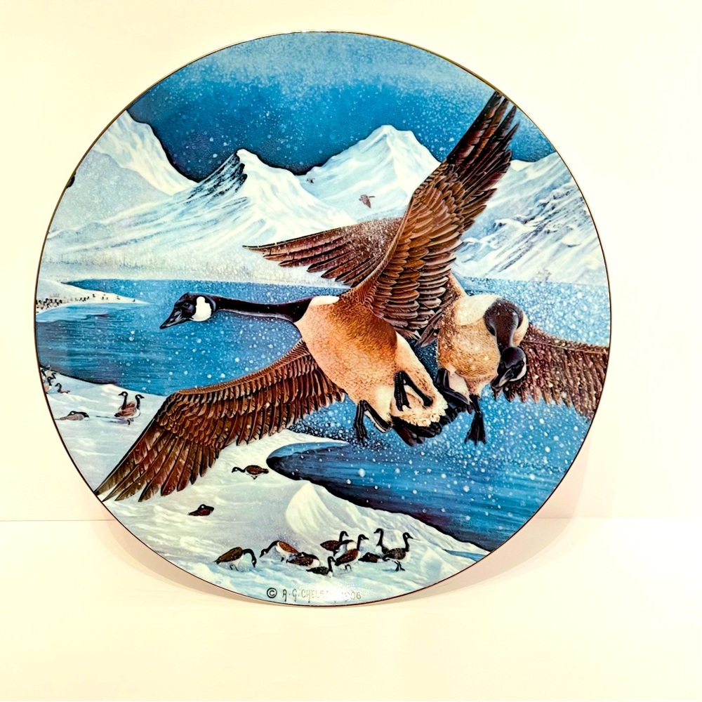 Rare Wall Plate Wild Life Geese Collector Plate Overflight